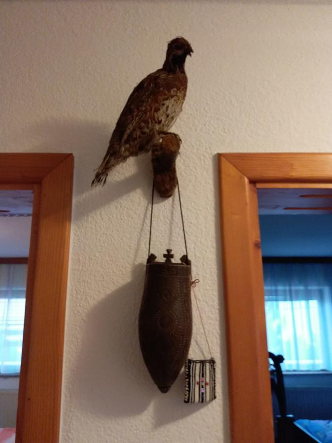 Kuca Za Odmor Sarcevic Apartment Prozor Luaran gambar